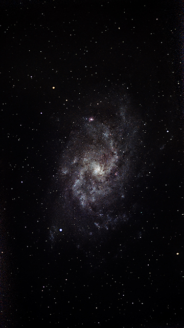 M33