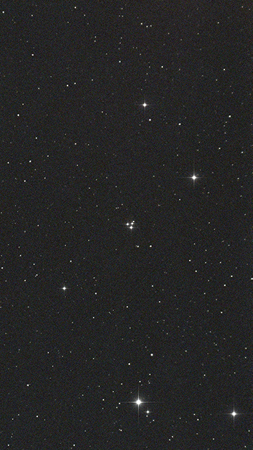 M73