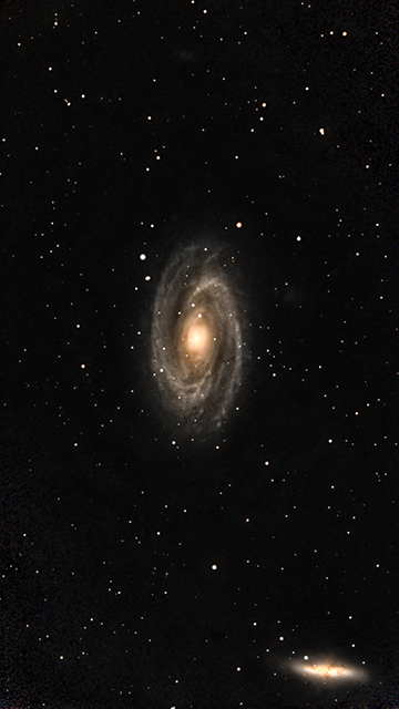 M81